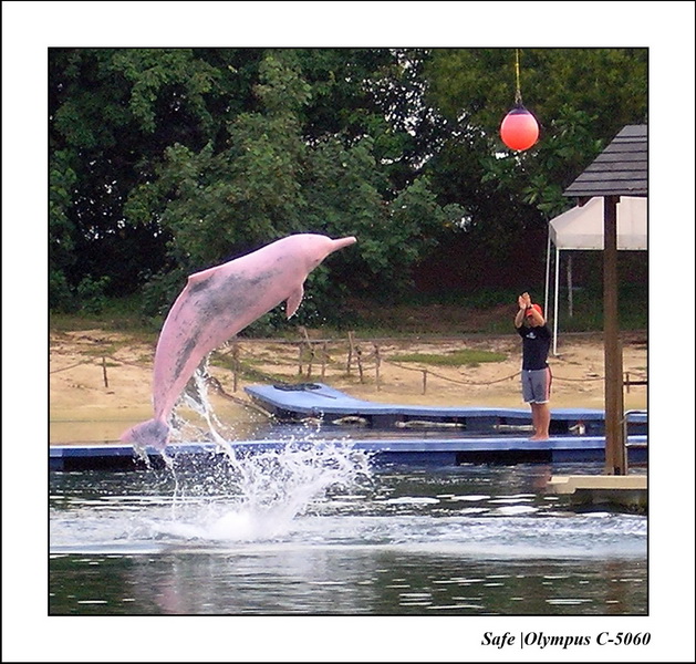 2005 - 06 - Sentosa island 09.JPG